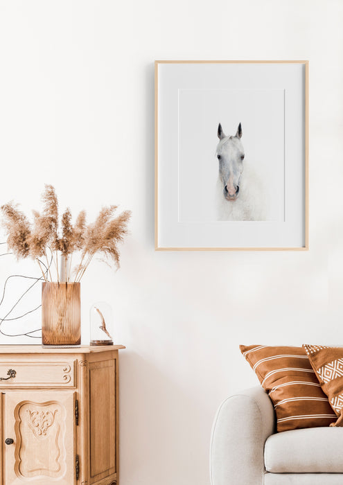 colour pencil drawing of a white horse portrait in a teak frame hangign in alounge room above a sofa chair