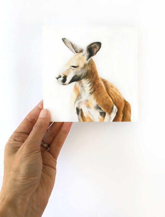 Blank Greeting Card, All Occasion Card, Birthday Card, Anniversary Card, Animal Art, Australian Animal Cards