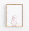 a colour pencil drawing of a pink galah on a white background in a teak frame