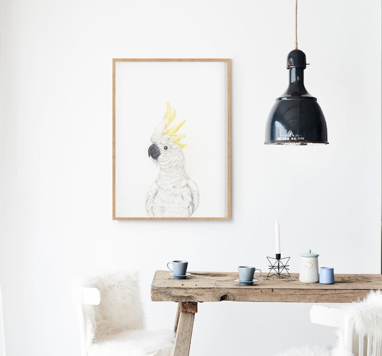 a colour pencil drawing of a white cockatoo on a white background in a teak frame hanging in a kitchen above a timber table