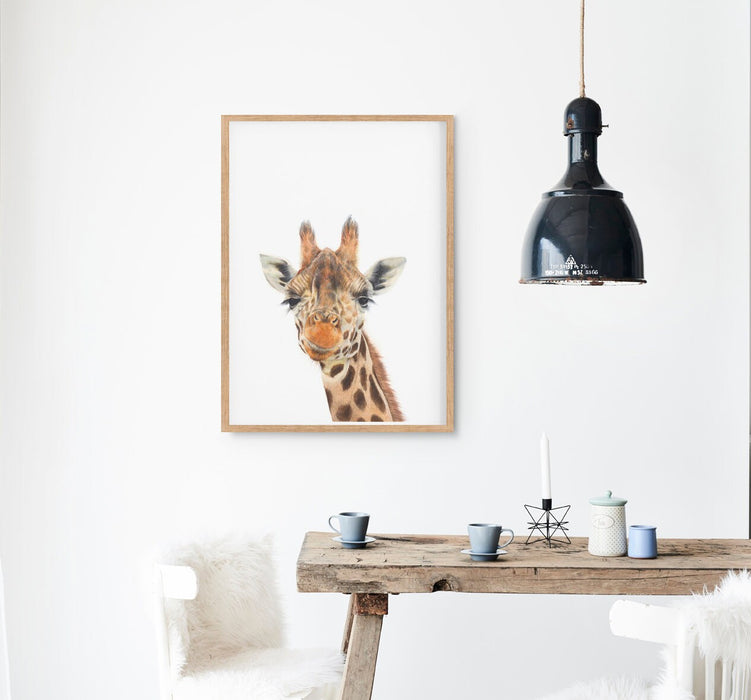 colour pencil drawing of a giraffe on a white background in a teak frame hanging in a kitchen above a timber table