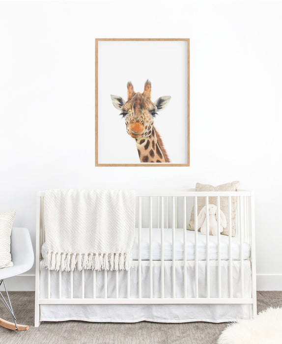 colour pencil drawing of a giraffe on a white background in a teak frame hanging above a cot in a nursery