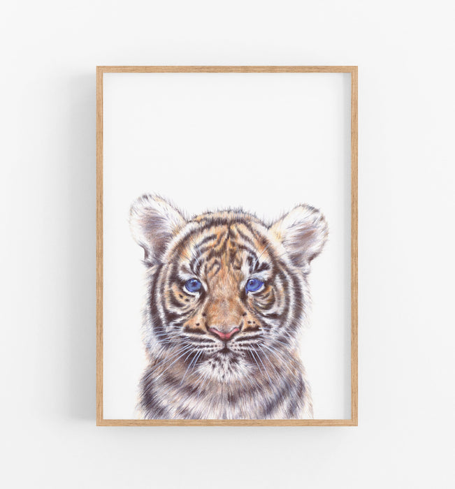 colour pencil drawing of a tiger on a white background in a teak frame