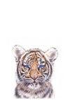colour pencil drawing of a tiger on a white background 