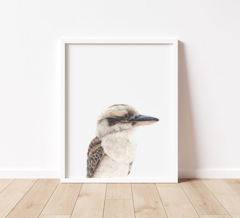 kookaburra colour pencil illustration on a white background in a white frame