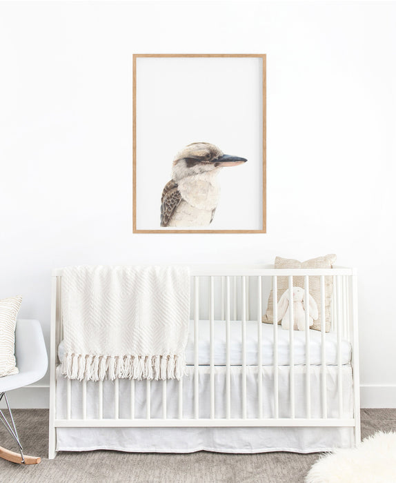 kookaburra colour pencil illustration on a white background in a teak frame hanging above a white cot in a nursery