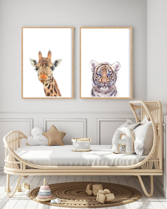 Set of 2 drawings of a giraffe and tiger in teak frames hanging above a cane childrens bed