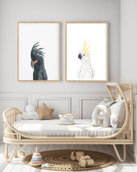 Set of 2 Black cockatoo and white cockatoo bird illustrations on white backgrounds in teak frames hangign in a childrens bedroom above a cane bed