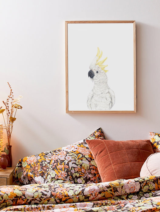 white cockatoo colour pencil drawing on a white background in a teak frame hanging in a bedroom above a bed