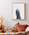 black palm cockatoo colour pencil drawing on a white background in a teak frame hanging in a bedroom above a bed