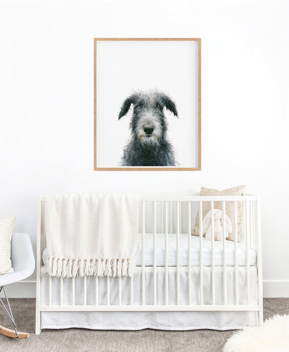 colour pencil illustration of an Irish Wolfhound dog in a teak frame hanging in a nursery above a white cot
