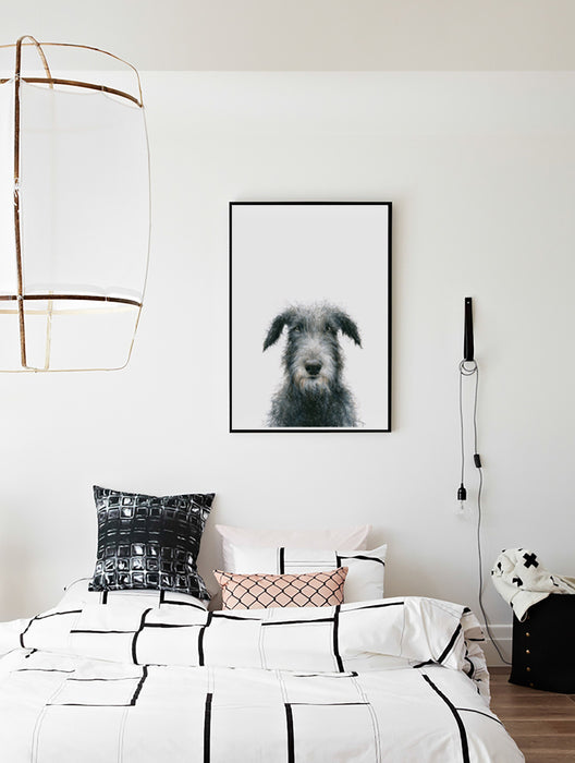 colour pencil illustration of an Irish Wolfhound dog in a black frame hanging in a boys bedroom