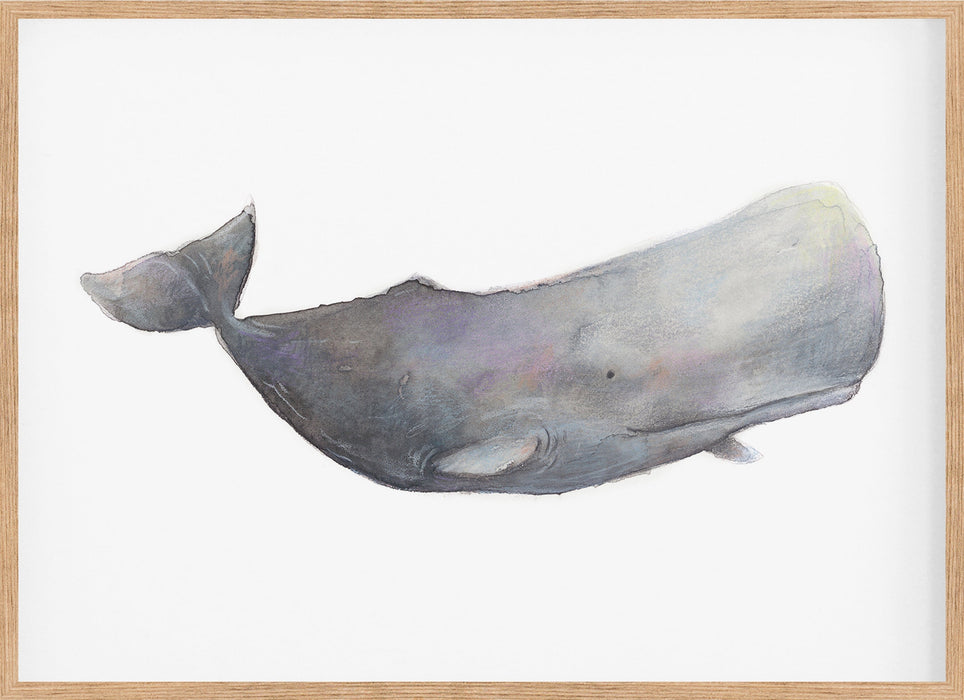 Blue Whale colour pencil drawing hanging in a teak frame