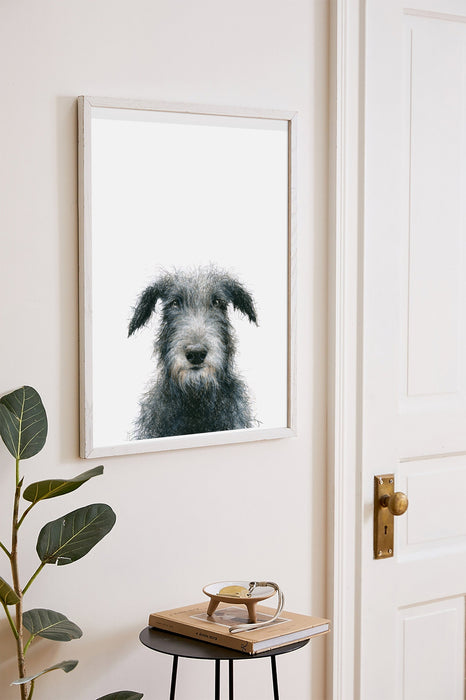 colour pencil illustration of an Irish Wolfhound dog in a white frame hanging in a hallway
