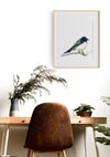 Colour pencil illustration of a willie wagtail in a teak frame hanging in a study above a desk