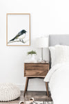 Colour pencil illustration of a willie wagtail in a teak frame hanging in a bedroom