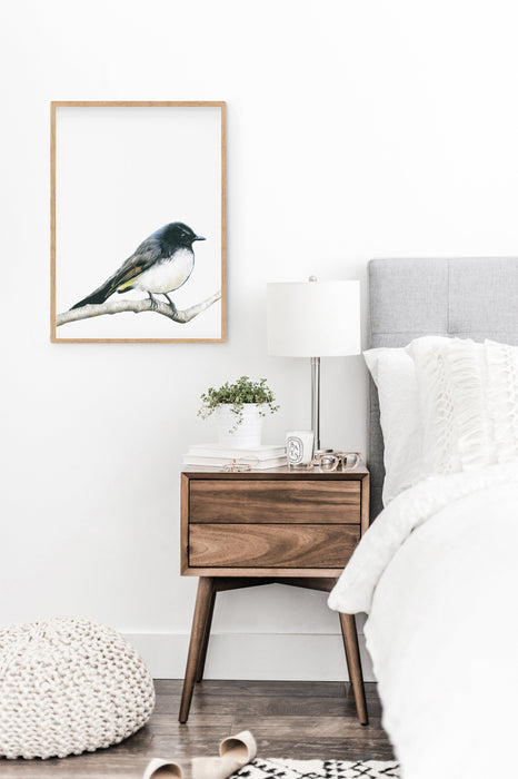 Colour pencil illustration of a willie wagtail in a teak frame hanging in a bedroom