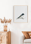 Colour pencil illustration of a willie wagtail in a teak frame hanging in a lounge room