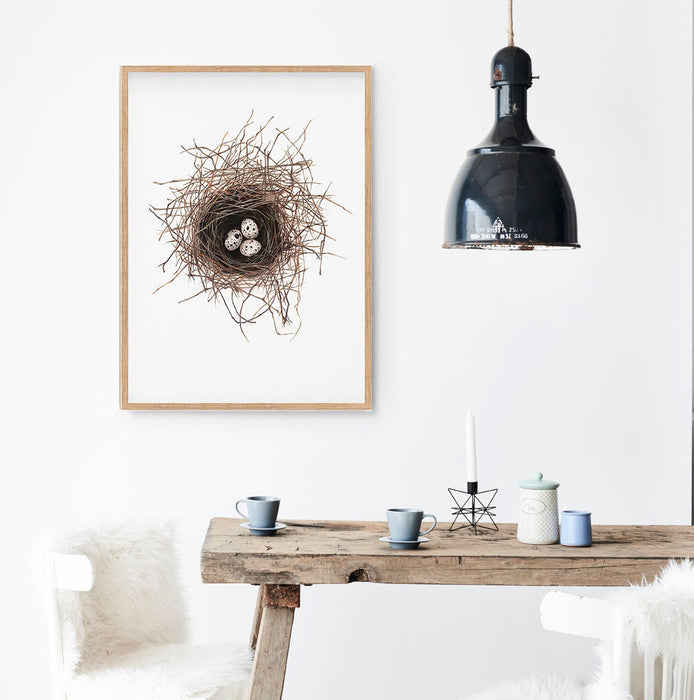 Birds Nest print, Bird Wall Art, Gift for her, Bird lovers gift, Frenchcolour pencil drawing of a birds nest on a white background in a teak frame hanging in a kitchen above a timber table
