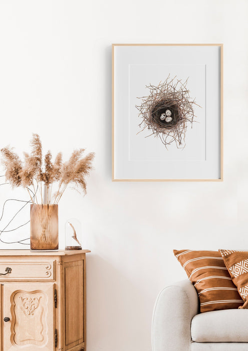Birds Nest print, Bird Wall Art, Gift for her, Bird lovers gift, Frenchcolour pencil drawing of a birds nest on a white background in a teak frame hanging in a lounge room