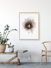 Birds Nest print, Bird Wall Art, Gift for her, Bird lovers gift, Frenchcolour pencil drawing of a birds nest on a white background in a teak frame hanging on a wall above a timber bench