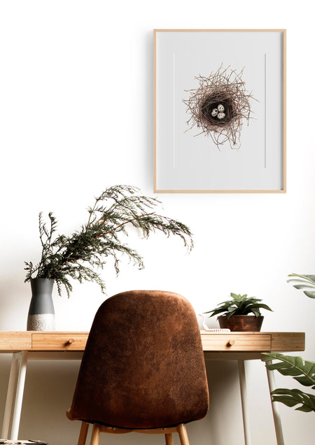 Birds Nest print, Bird Wall Art, Gift for her, Bird lovers gift, Frenchcolour pencil drawing of a birds nest on a white background in a teak frame hanging above a desk in a study
