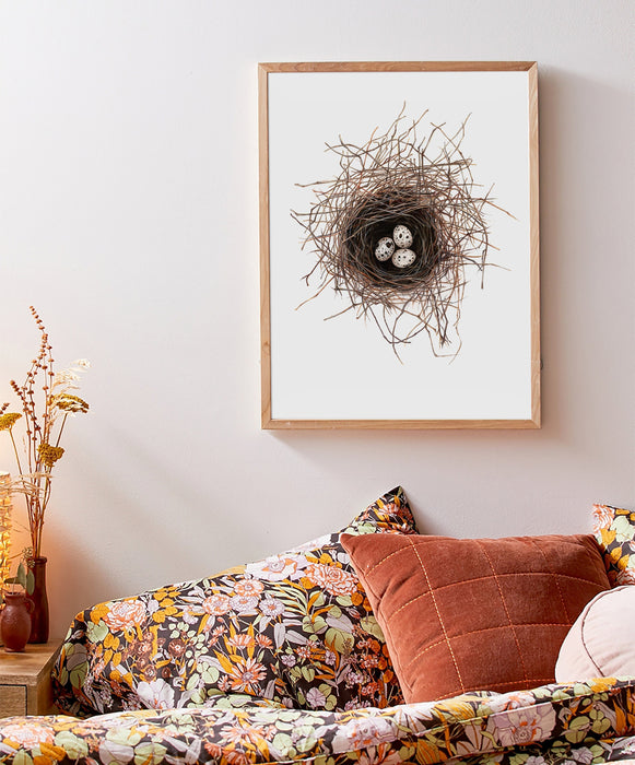Birds Nest print, Bird Wall Art, Gift for her, Bird lovers gift, Frenchcolour pencil drawing of a birds nest on a white background in a teak frame hanging in a bedroom above a bed