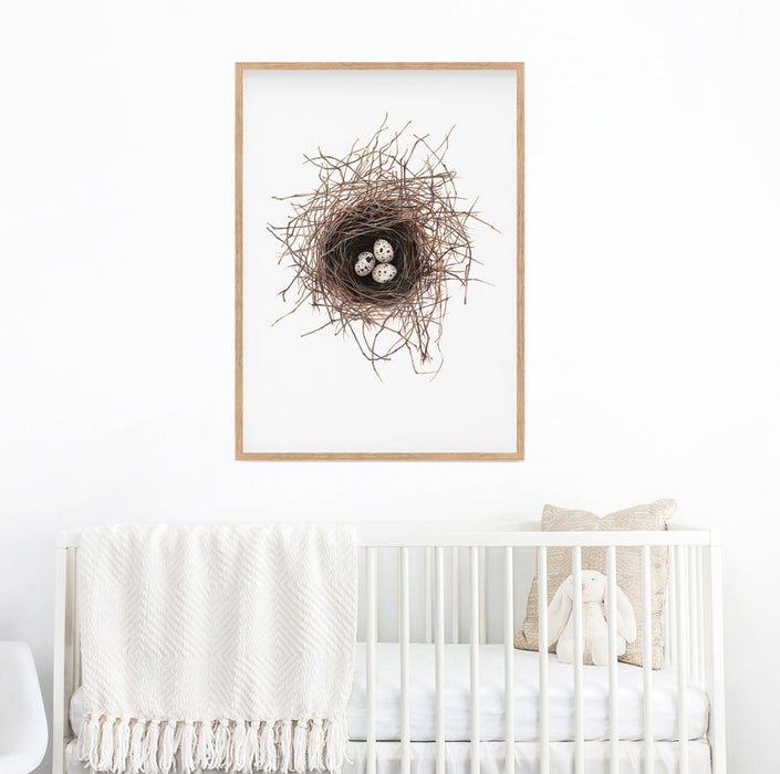 Birds Nest print, Bird Wall Art, Gift for her, Bird lovers gift, Frenchcolour pencil drawing of a birds nest on a white background in a teak frame hanging in a nursery above a white cot