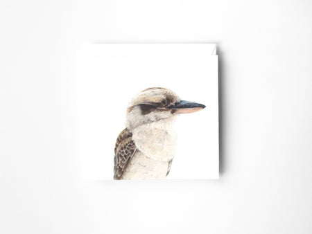 a drawing of a Kookaburra in colour pencil on a blank greeting card