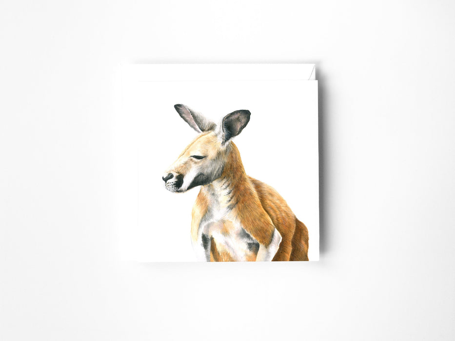 Blank Greeting Card, All Occasion Card, Birthday Card, Anniversary Card, Animal Art, Australian Animal Cards