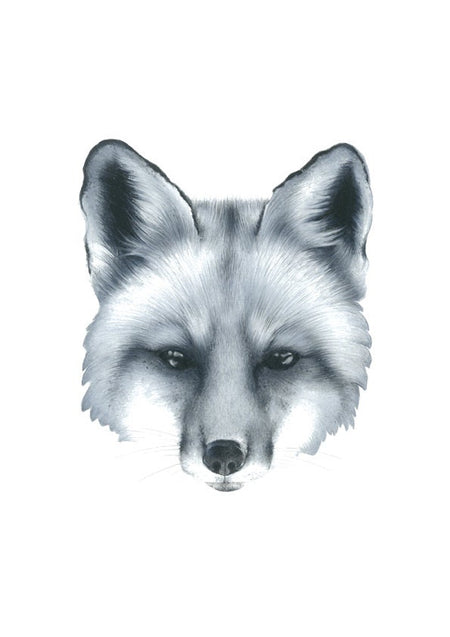 a drawing of a black and white fox in colour pencil on a blank greeting card