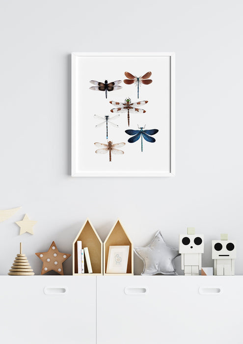 Dragonfly Art Print, Dragonfly Wall Art, Nature lovers Print, Entomology Art Print, Housewarming Gift, Gift for Mum