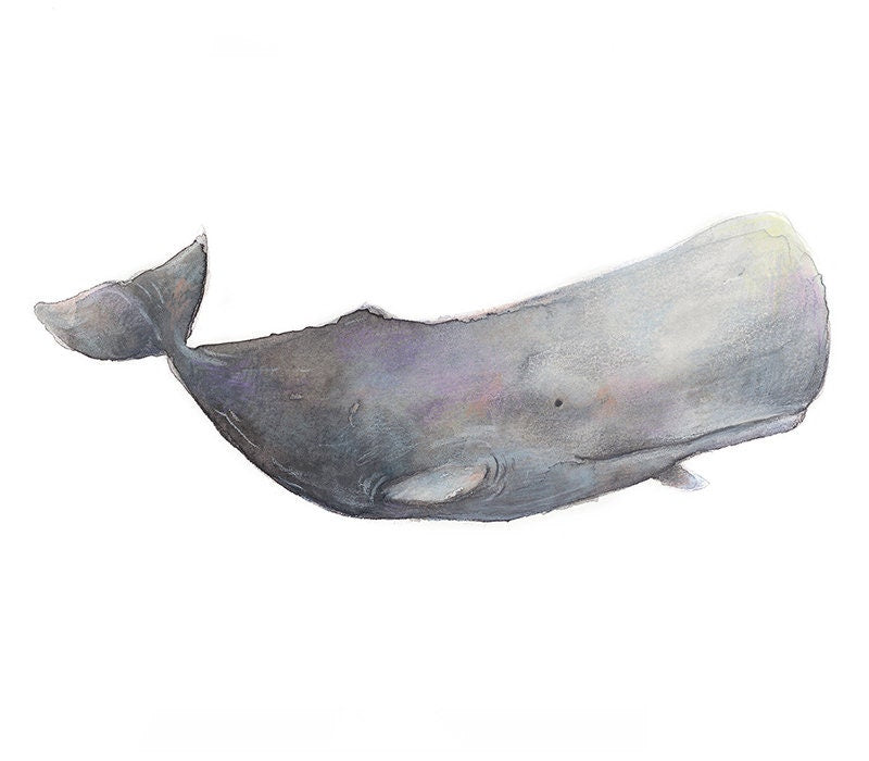 a drawing of a whale in colour pencil on a blank greeting card