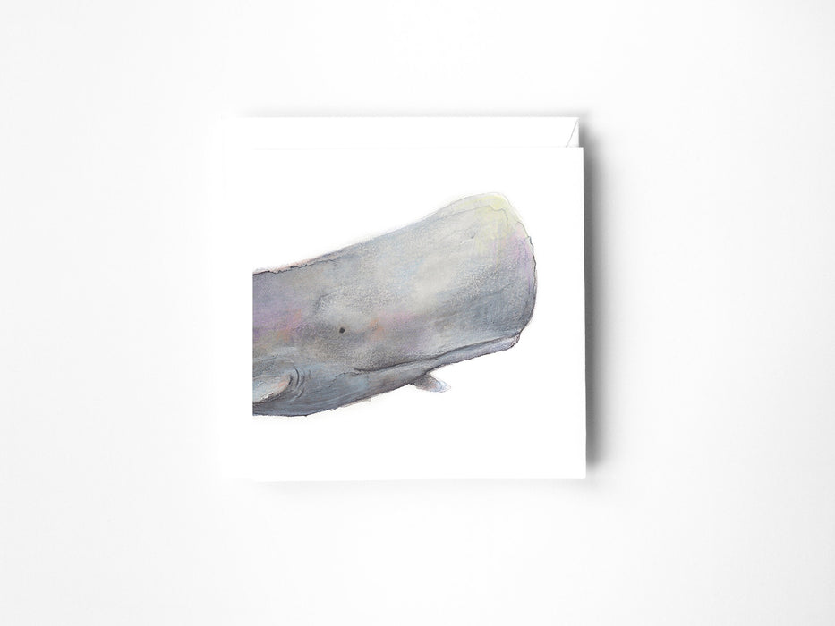 a drawing of a whale in colour pencil on a blank greeting card