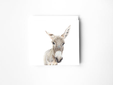 a drawing of a Donkey in colour pencil on a blank greeting card