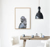 Black Cockatoo Art Print hanging above a rustic table in a kitchen - the wild woods