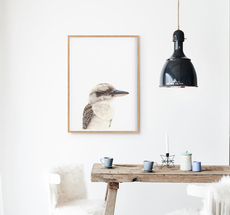 kookaburra illustration hanging in a timber frame in a kitchen above a table