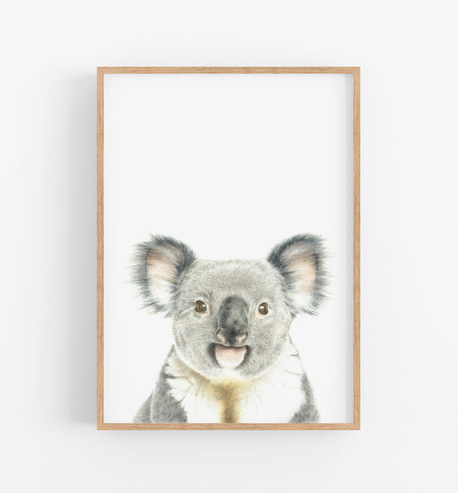 Koala art print in a timber frame
