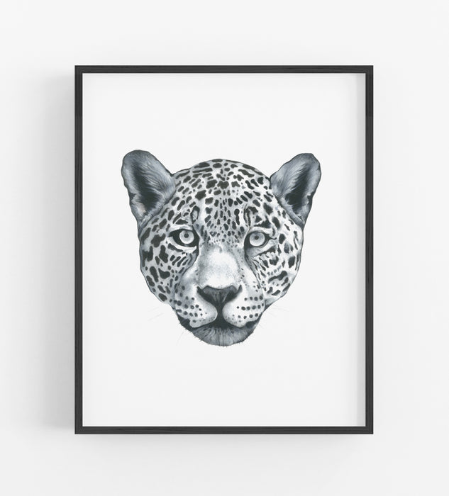 black and white drawing of a leopards head in a black frame