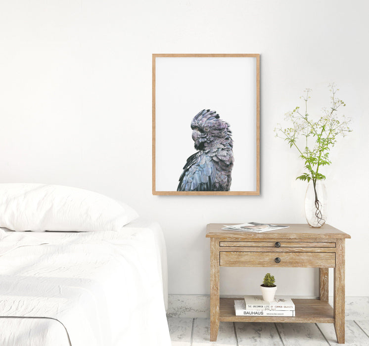 Black Cockatoo Art Print hanging in a bedroom above a sidetable - the wild woods