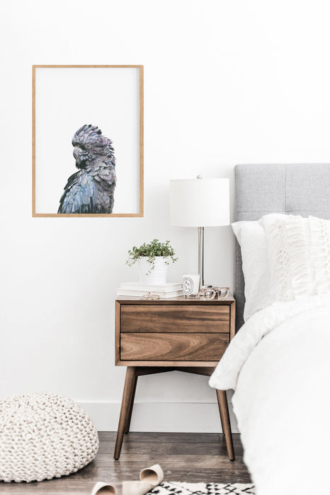 Black Cockatoo Art Print hanging in a bedroom above a timber sidetable - the wild woods