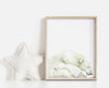 art print of a mother polar bear and a baby  in a timber frame