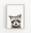 Raccoon Art Print - the wild woods