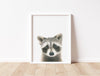 Raccoon Art Print - the wild woods