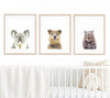 Set of 3 Australian animal Prints hanging above a white cot