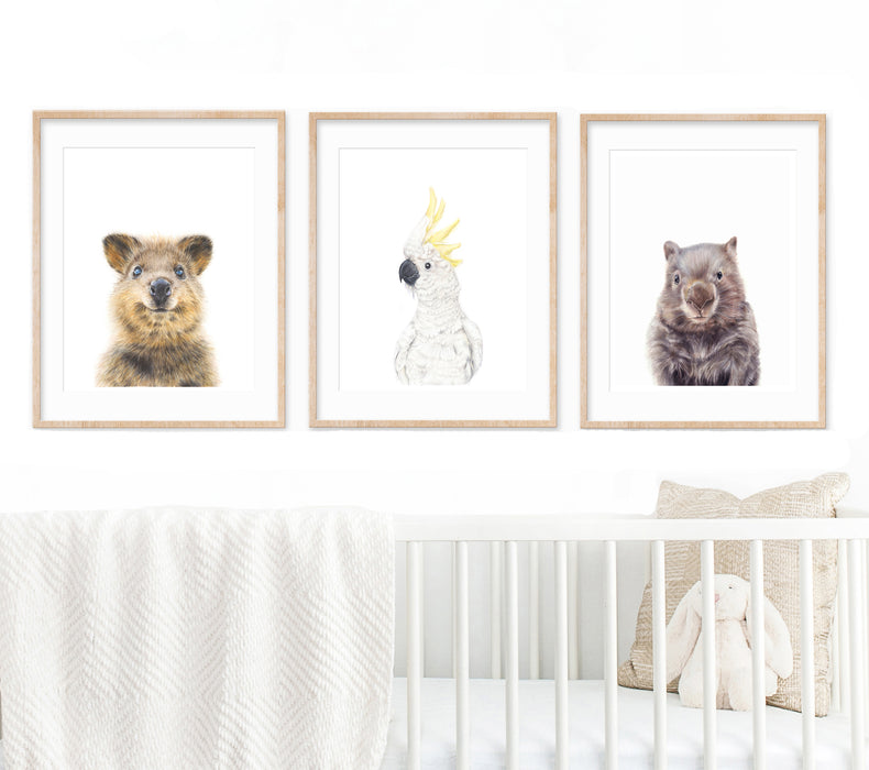 set of 3 Australian animal art prints hanging above a white cot in a nursery