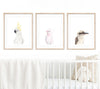 set of 3 Australian bird prints in wooden frames hanging above a white cot