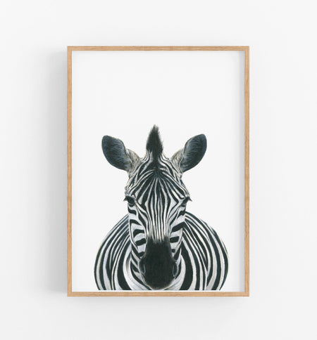 Zebra Art Print - the wild woods